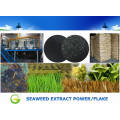 Water Soluble Seaweed Extract Power for Agriculture